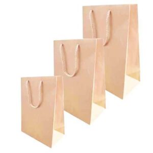 Bolsa Kraft Bolsa Kraft