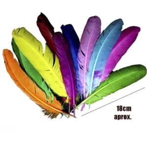 planilla copia Pluma de gallo de colores / Paquete con 10